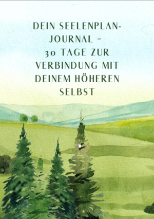 Seelenplan-Journal (Heft)